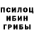 Галлюциногенные грибы мицелий Namrata mohapatra3