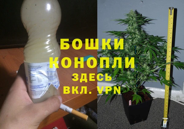 дурь Алзамай