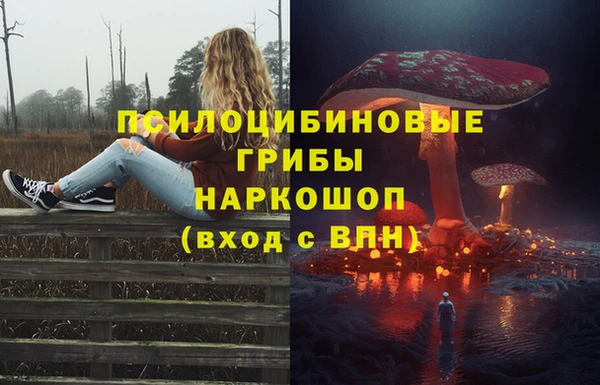 дурь Алзамай